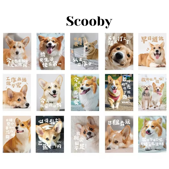 Cajita de 30 stickers " Doggos"