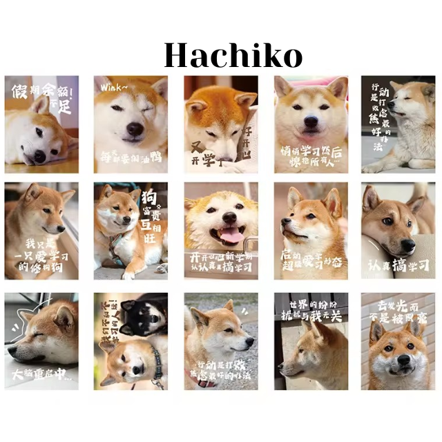 Cajita de 30 stickers " Doggos"