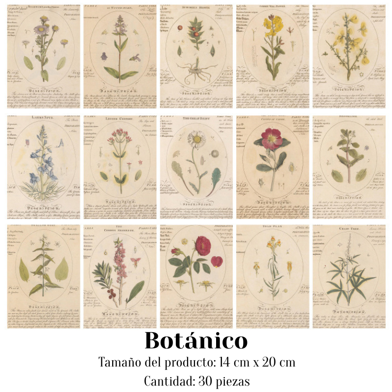 Papeles Decorativos "🧾 Archivo Clásico"