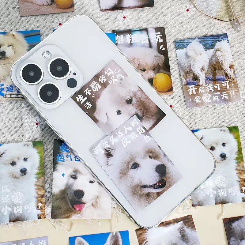 Cajita de 30 stickers " Doggos"