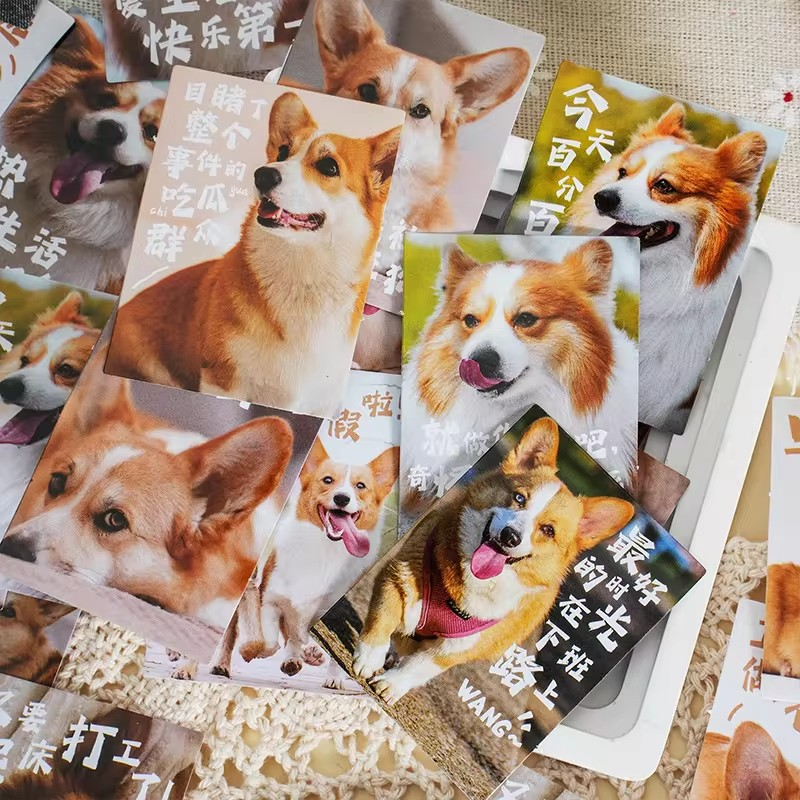 Cajita de 30 stickers " Doggos"