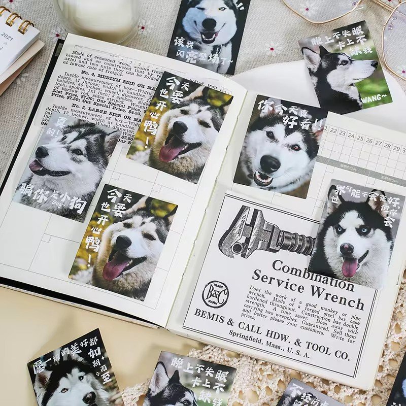Cajita de 30 stickers " Doggos"
