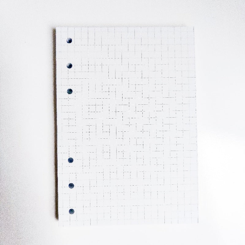 Hojas refill para BINDER CON HOJAS A5/A6, 120gsm (cuadriculadas, rayadas o puntos) (NO A LA VENTA)