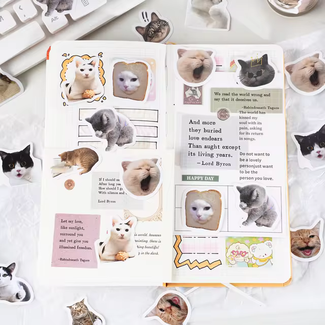 Cajita de 46 stickers " Meow´s Adventures "