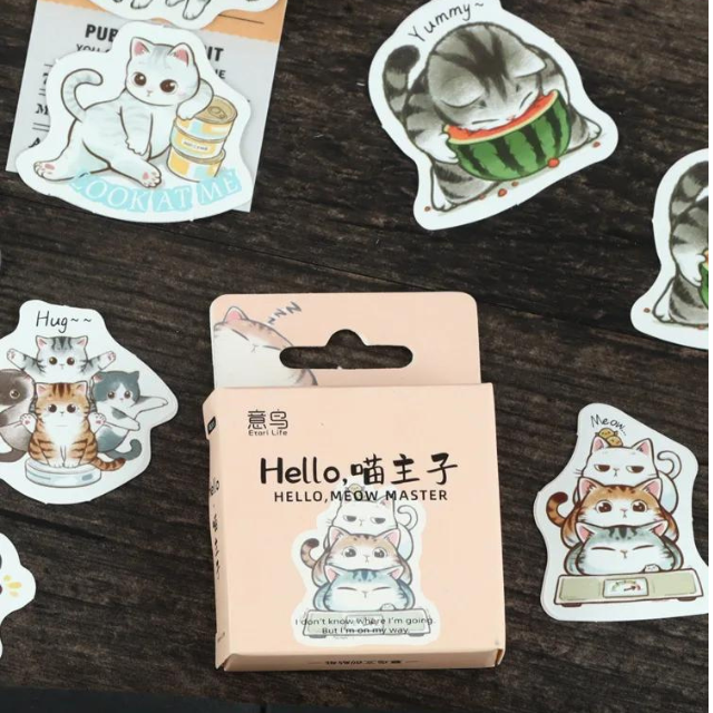 Cajita de 46 stickers " Hello Meow Master "