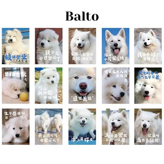 Cajita de 30 stickers " Doggos"