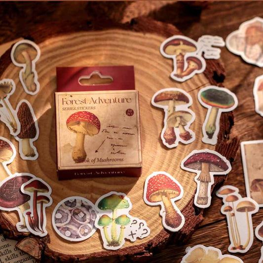 Cajitas de 50 Stickers “Forest Adventure ”