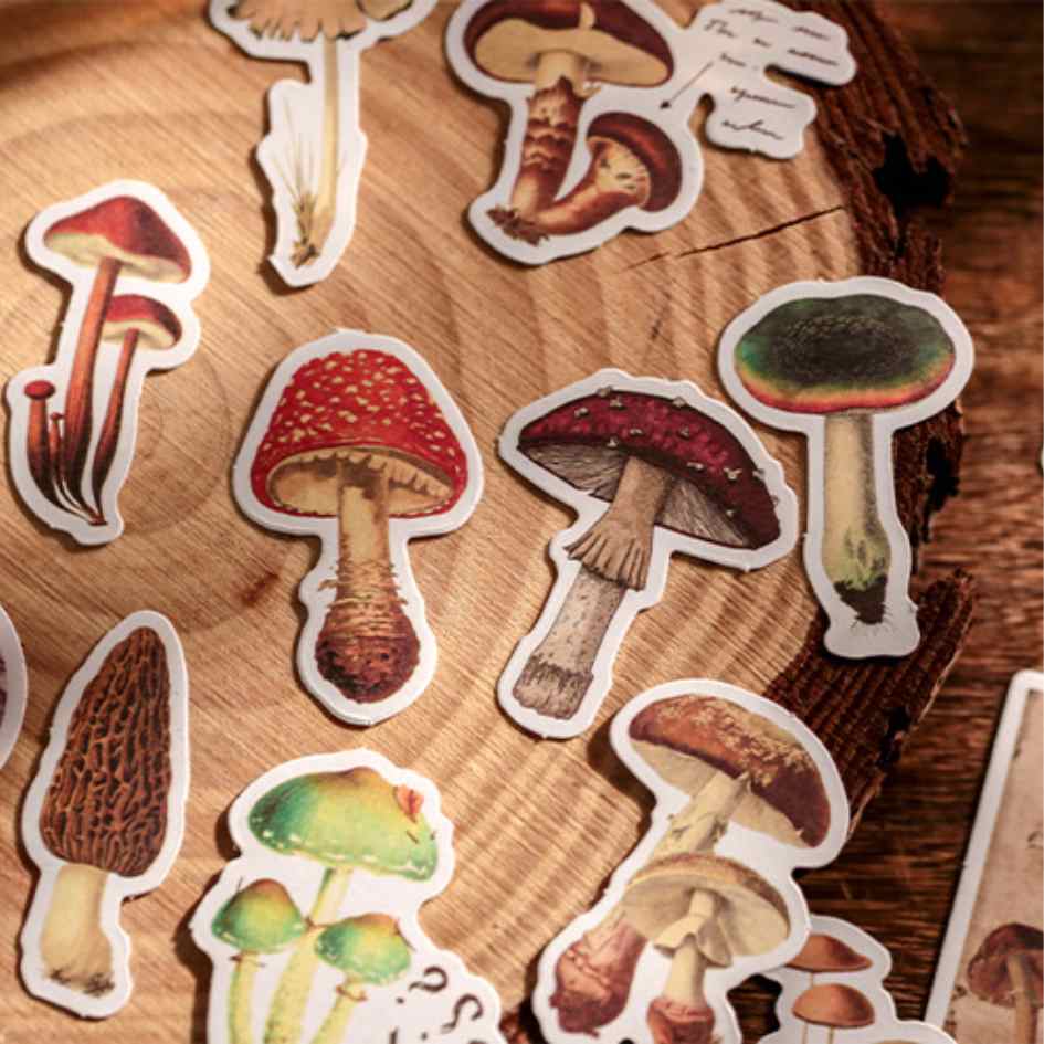 Cajitas de 50 Stickers “Forest Adventure ”