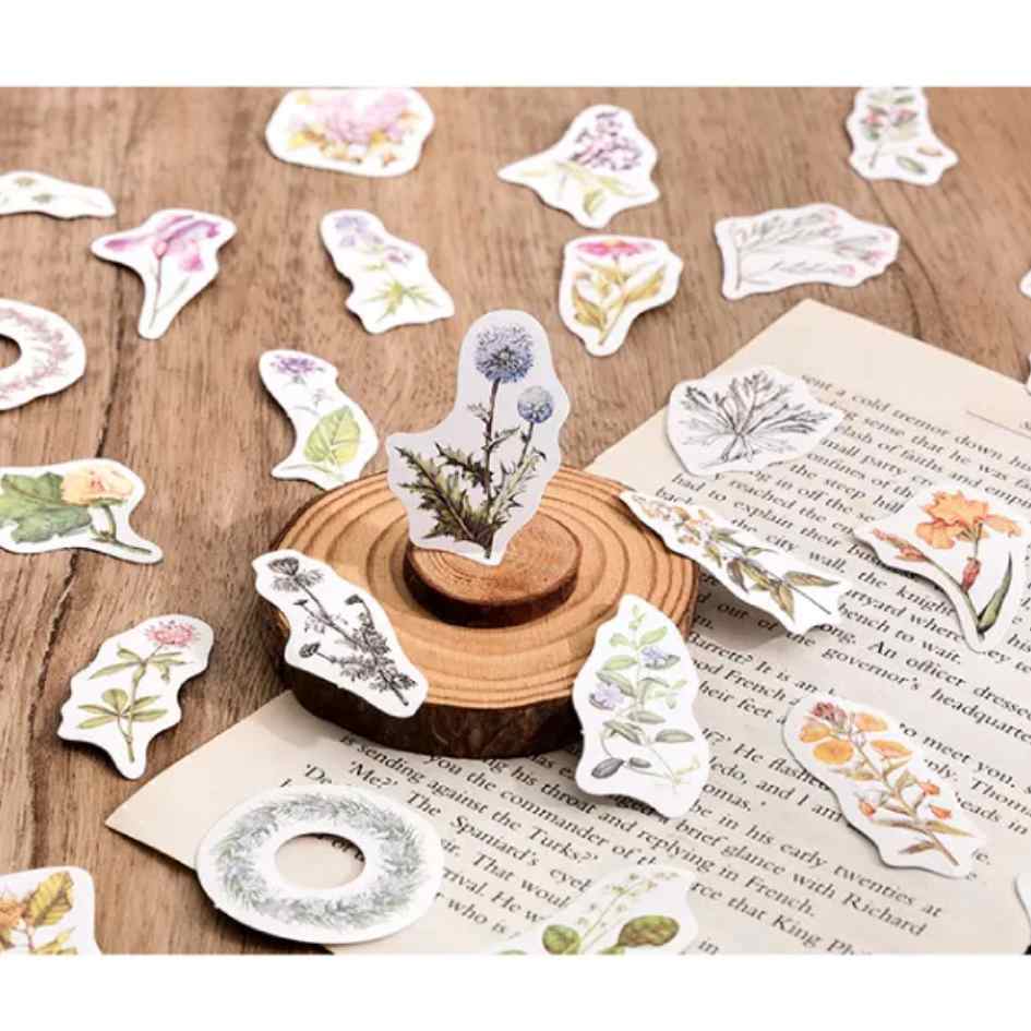 Cajita de 45 Stickers "Whispering Woods"