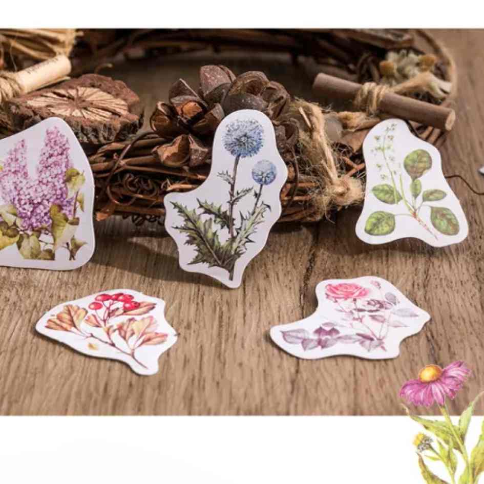 Cajita de 45 Stickers "Whispering Woods"