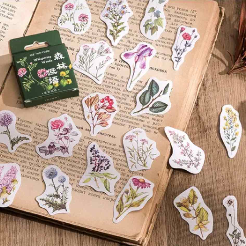 Cajita de 45 Stickers "Whispering Woods"