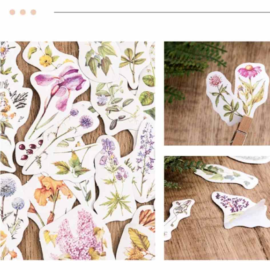 Cajita de 45 Stickers "Whispering Woods"