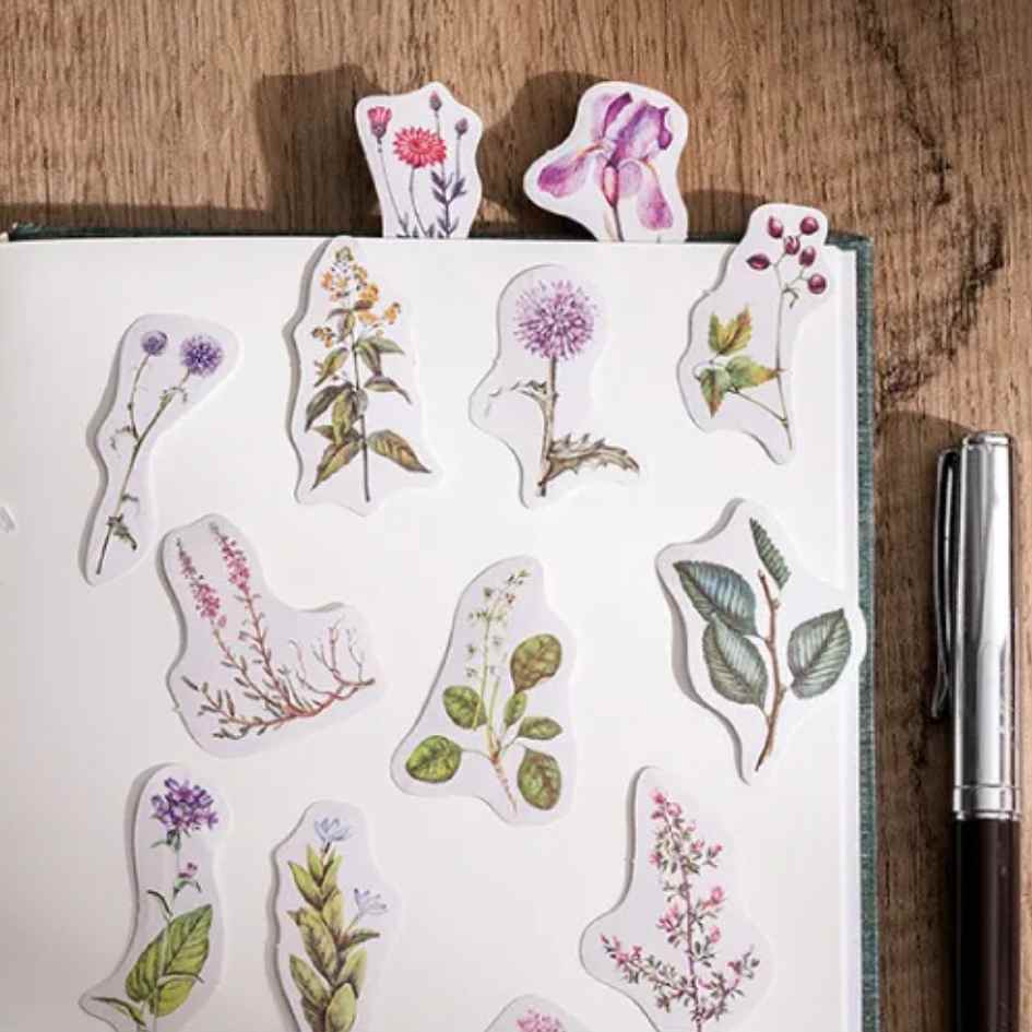 Cajita de 45 Stickers "Whispering Woods"