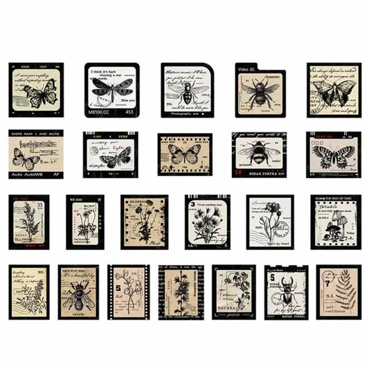 Cajita de 46 Stickers "Antique Insects”