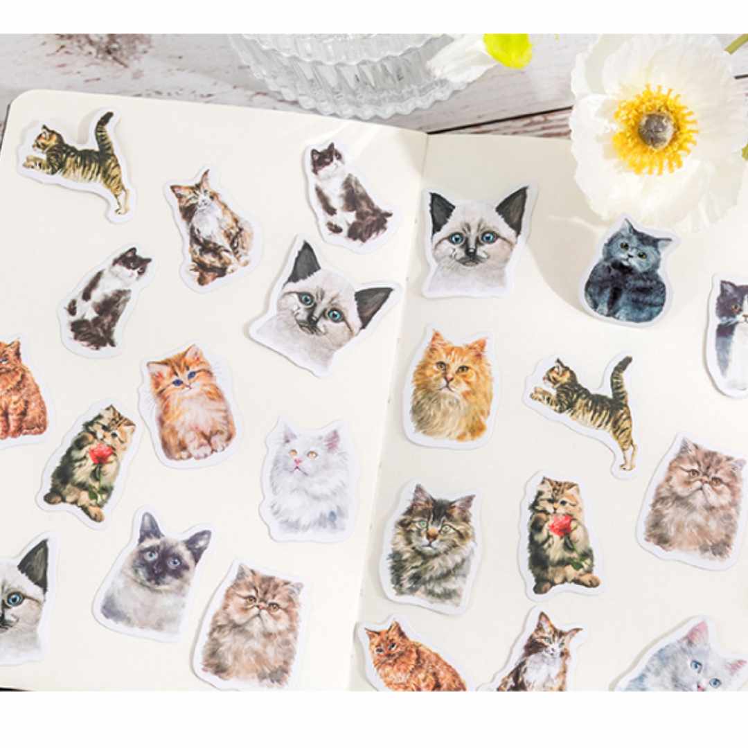 Cajita de 45 Stickers "Kitty Diary”