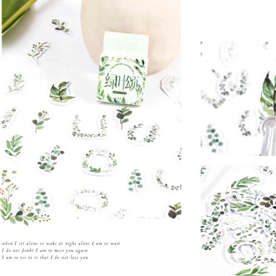 Cajita de 46 Stickers “Plantas Verdes”