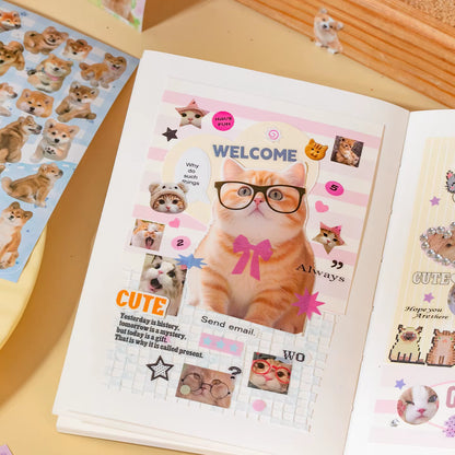 Libro de Stickers "Patitas de Amor"