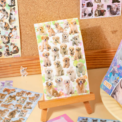 Libro de Stickers "Patitas de Amor"
