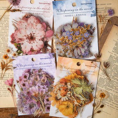 Stickers PET "🌸 Whisper In The Woods"