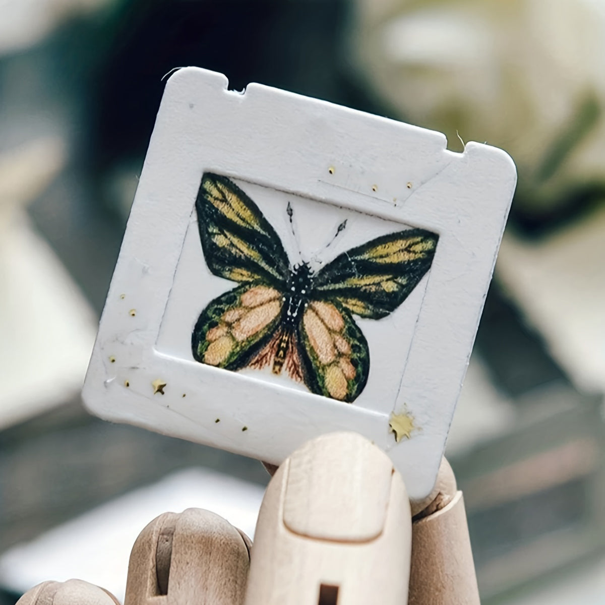 Molde Troquelador de Metal “Specimen Card”