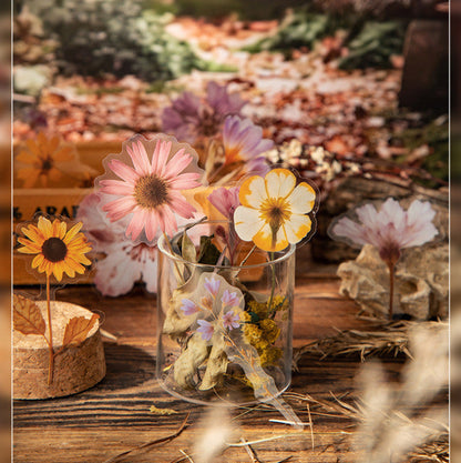 Stickers PET "🌸 Whisper In The Woods"
