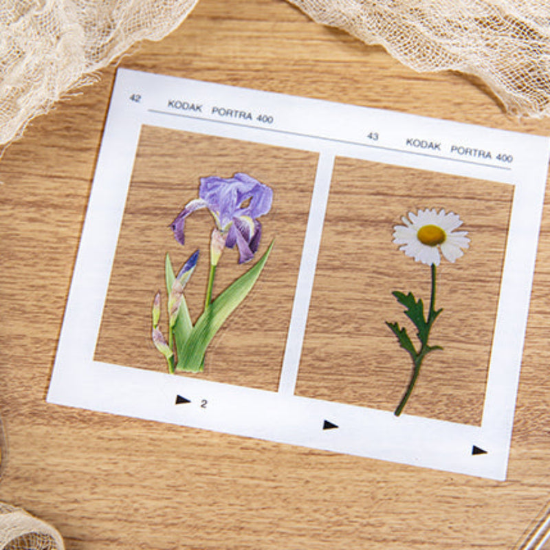 Stickers PET "Live Graffiti"