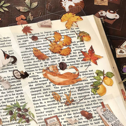 Libro de Stickers "Vida de Memoria"