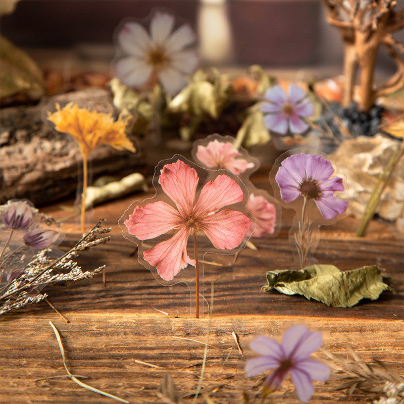 Stickers PET "🌸 Whisper In The Woods"