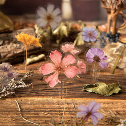 Stickers PET "🌸 Whisper In The Woods"