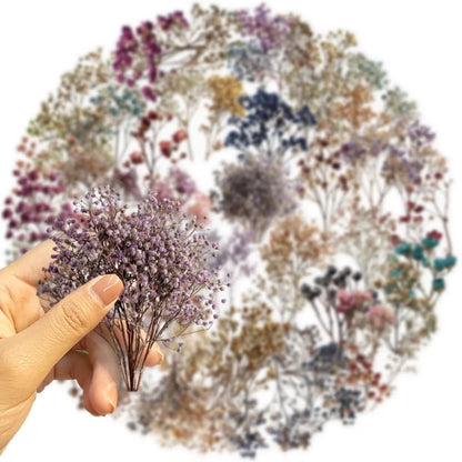 Stickers PET "Flores Secas"
