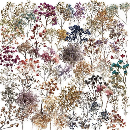 Stickers PET "Flores Secas"