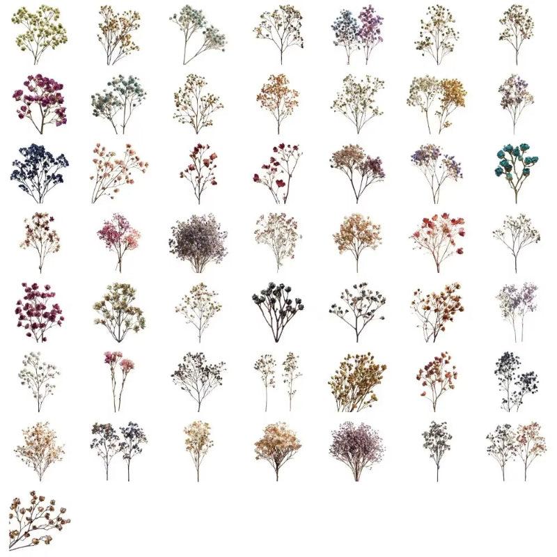 Stickers PET "Flores Secas"