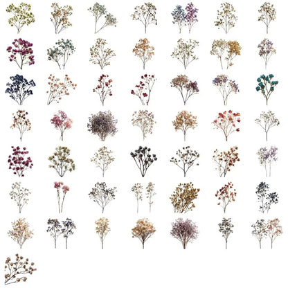 Stickers PET "Flores Secas"