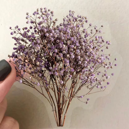 Stickers PET "Flores Secas"