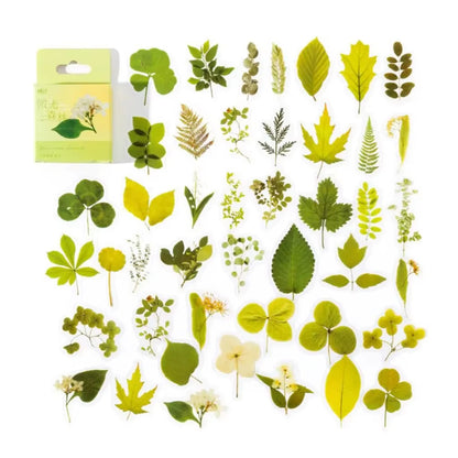 Cajita de 45 stickers "Flower Language"