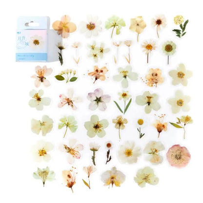 Cajita de 45 stickers "Flower Language"