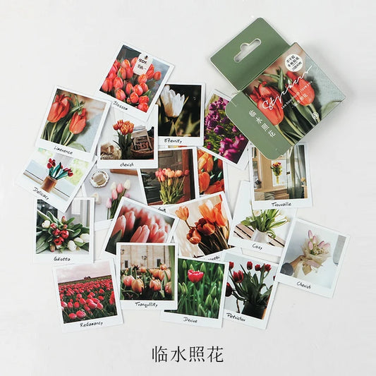 Cajita de 46 Stickers "Tulipanes Rojos"