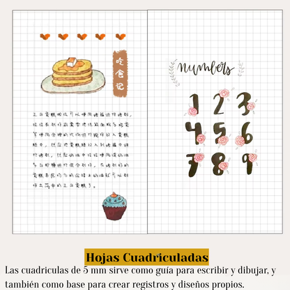 Refill para Traveler’s Notebook Vintage