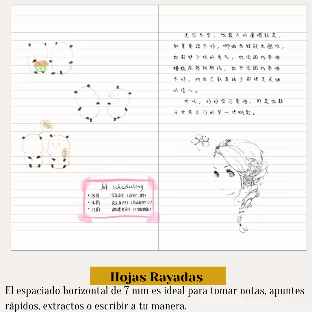 Refill para Traveler’s Notebook Vintage