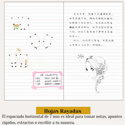Refill para Traveler’s Notebook Vintage
