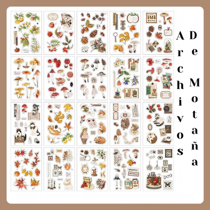 Libro de Stickers "Vida de Memoria"