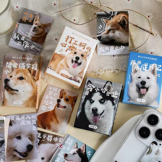 Cajita de 30 stickers " Doggos"