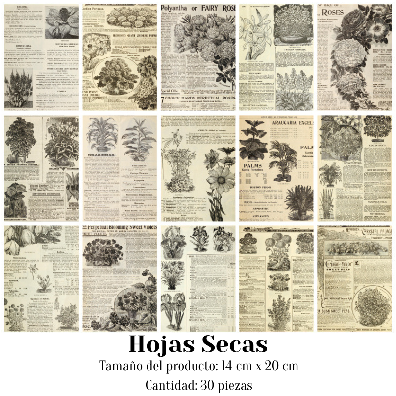 Papeles Decorativos "🧾 Archivo Clásico"