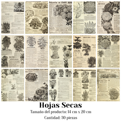 Papeles Decorativos "🧾 Archivo Clásico"