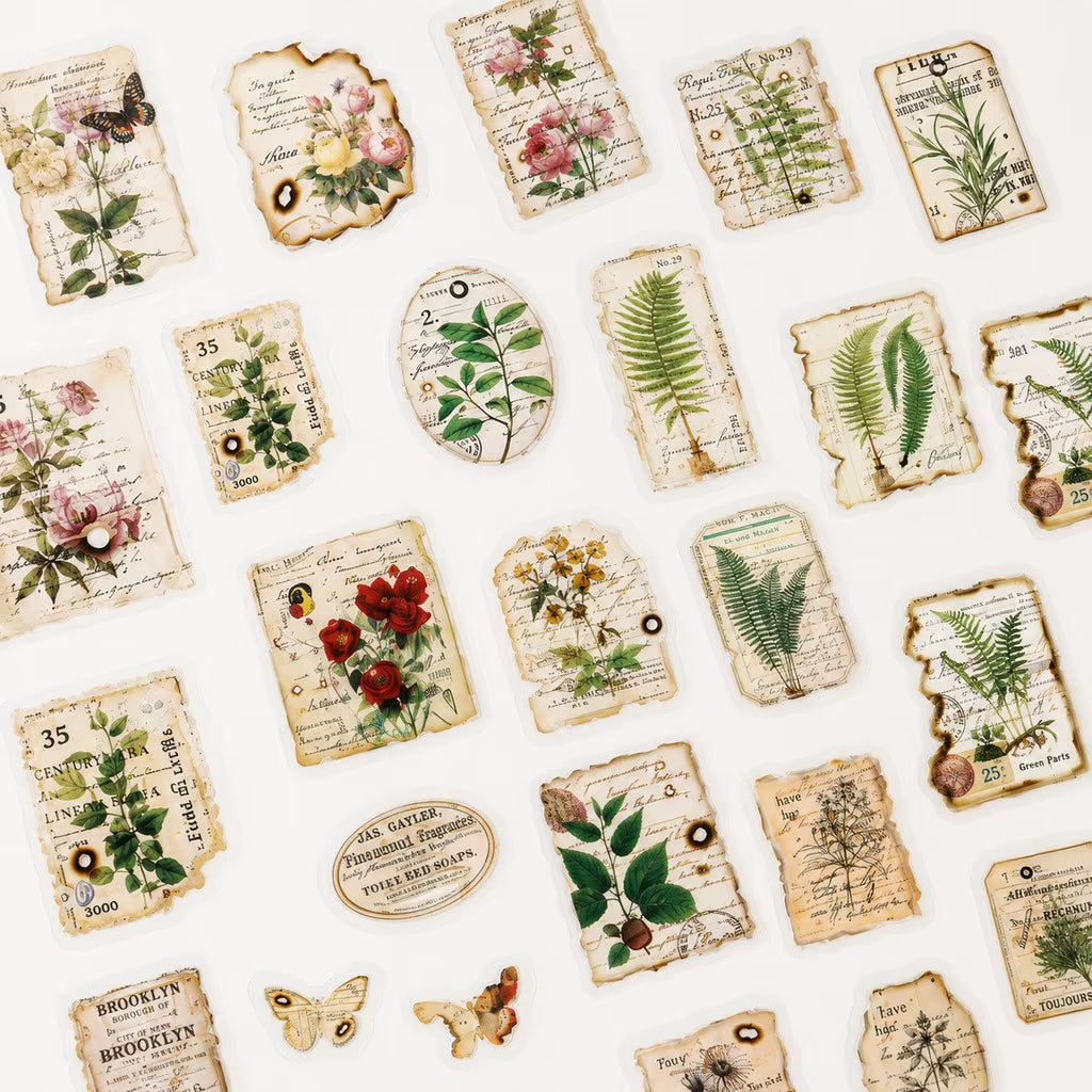 Stickers PET Herbario Vintage"