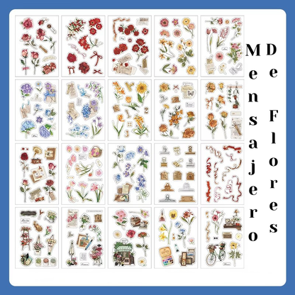 Libro de Stickers "Vida de Memoria"