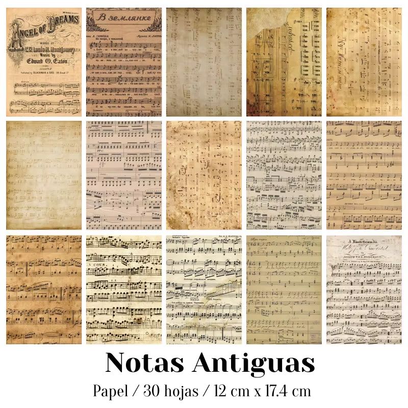 Papeles Decorativos "🧾Historial Floral"