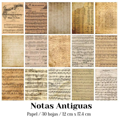 Papeles Decorativos "🧾Historial Floral"