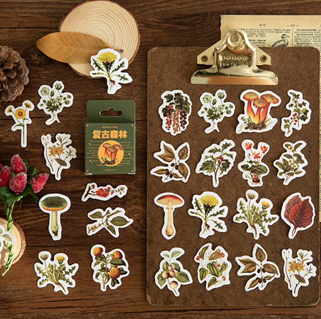 Cajita de 46 Stickers “Mushrooms”