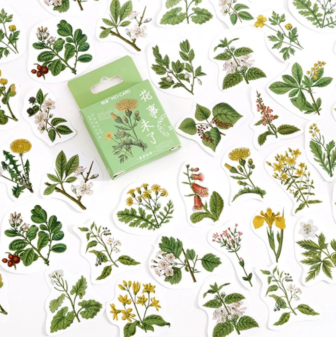 Cajita de 46 Stickers "Plants and Flowers ”